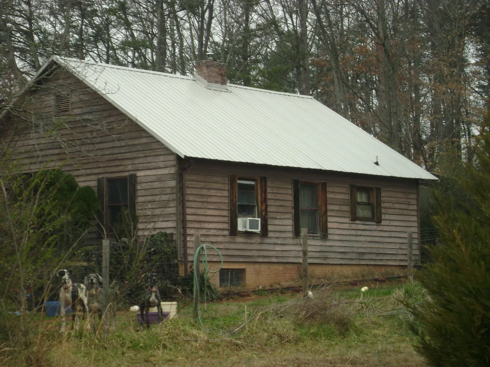 White metal roof on an old wood sided farmhouse, from a Metal Roof Installation job in Lapine